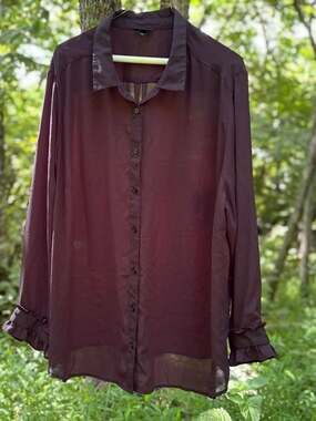 Sheer Black Button Down Blouse 3X